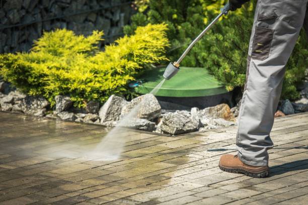 Best Warehouse Cleaning  in Dove Valley, CO