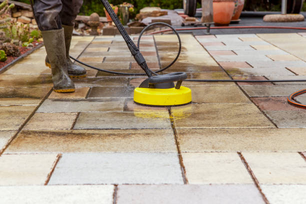 Best Gutter Cleaning  in Dove Valley, CO